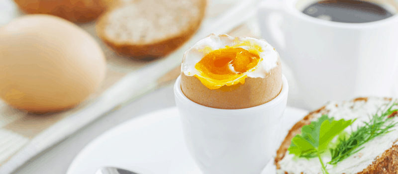 Verst onderwijs Grootste Eierkoker hoe werkt het? Kook je je eieren altijd exact zoals jij het wil!